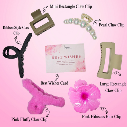 Brijsun Elegant Everyday Hair Clip Gift Hamper